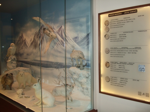 UrboTour in Natural History Museum of Meteora and Mushroom Museum